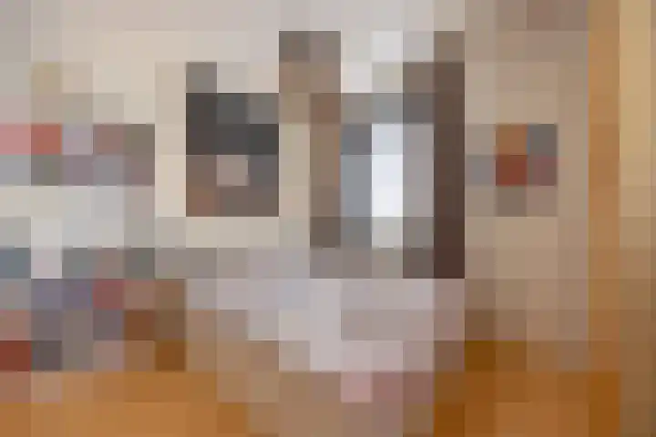 Bontwerkersgaarde 5 Den Haag thumbnail 38