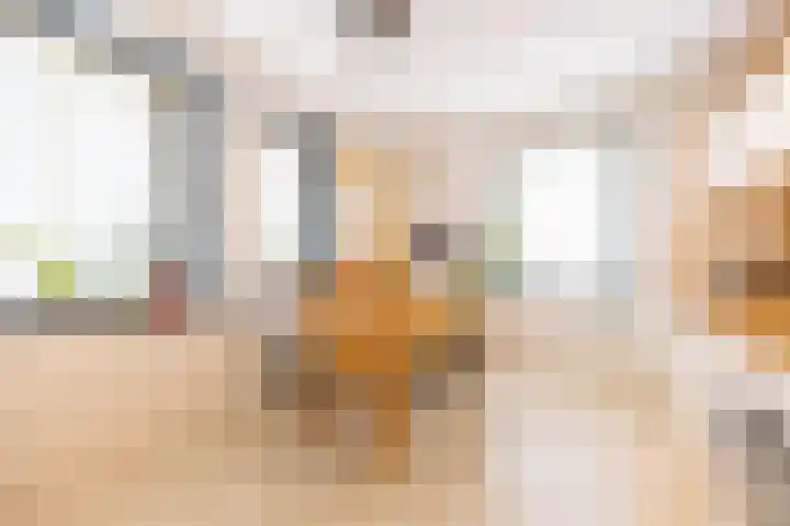 Bontwerkersgaarde 5 Den Haag thumbnail 5