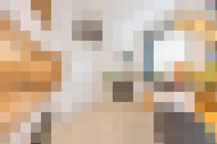 Bontwerkersgaarde 5 Den Haag thumbnail 6