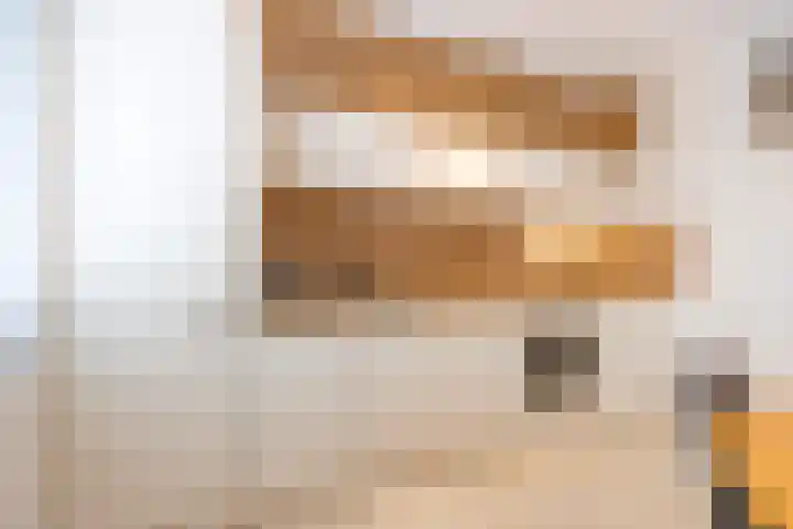 Bontwerkersgaarde 5 Den Haag thumbnail 7