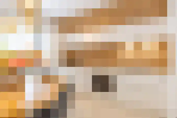 Bontwerkersgaarde 5 Den Haag thumbnail 8
