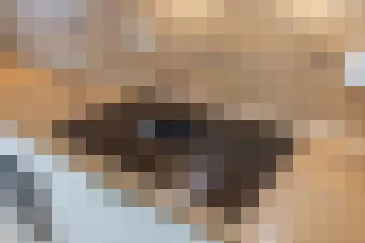 Bontwerkersgaarde 5 Den Haag thumbnail 9