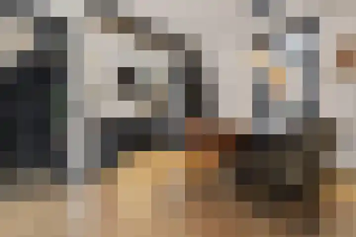 Bontwerkersstraat 2 Venlo thumbnail 15