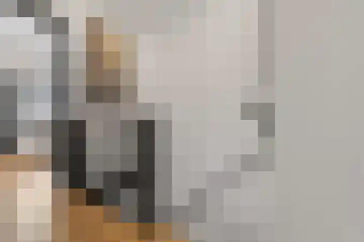 Bontwerkersstraat 2 Venlo thumbnail 22