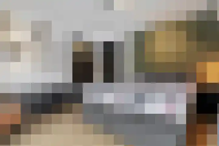 Bontwerkersstraat 2 Venlo thumbnail 24