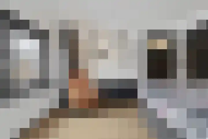 Bontwerkersstraat 2 Venlo thumbnail 26