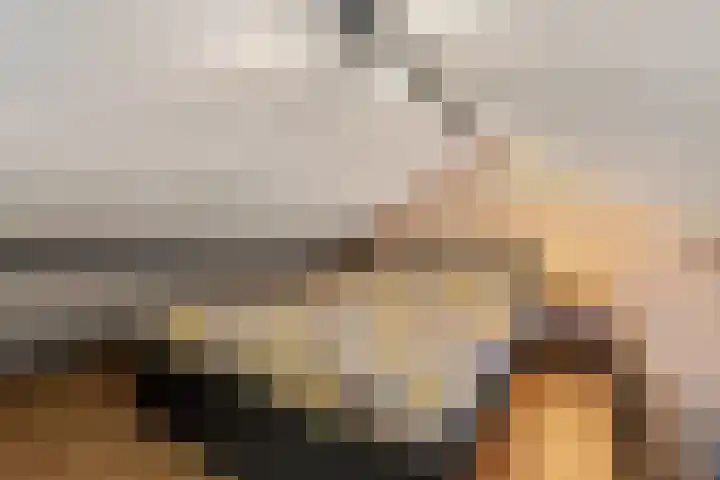 Bontwerkersstraat 2 Venlo thumbnail 30