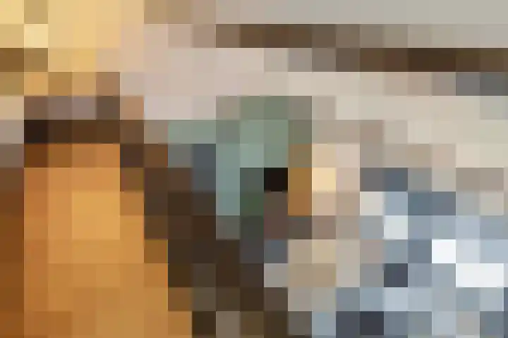 Bontwerkersstraat 2 Venlo thumbnail 31