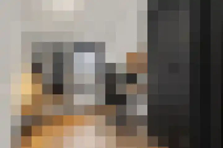 Bontwerkersstraat 2 Venlo thumbnail 32