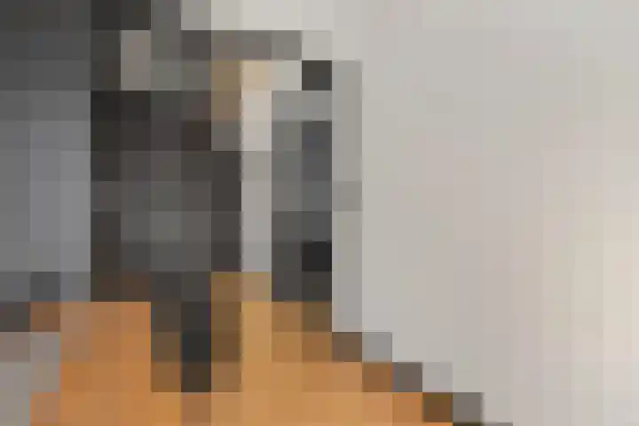 Bontwerkersstraat 2 Venlo thumbnail 33