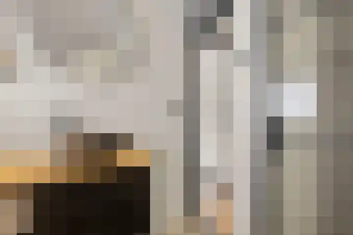 Bontwerkersstraat 2 Venlo thumbnail 35