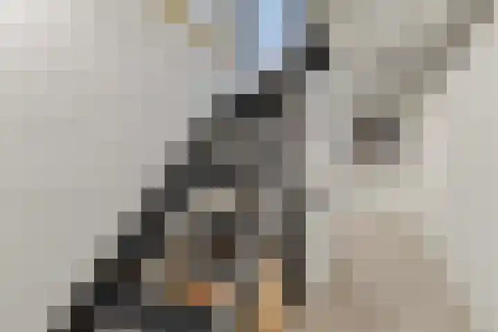 Bontwerkersstraat 2 Venlo thumbnail 37