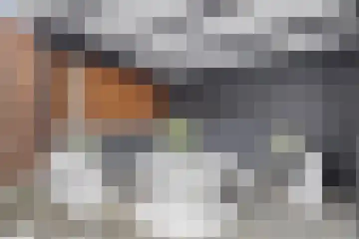 Bontwerkersstraat 2 Venlo thumbnail 42