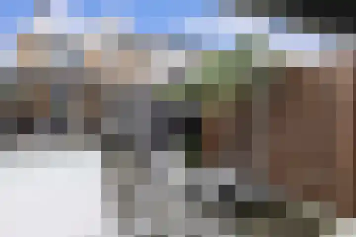 Bontwerkersstraat 2 Venlo thumbnail 43