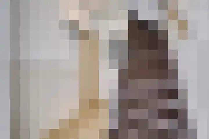 Bontwerkersstraat 5 Venlo thumbnail 10