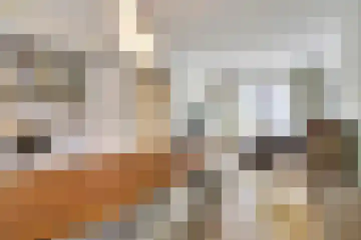 Bontwerkersstraat 5 Venlo thumbnail 5