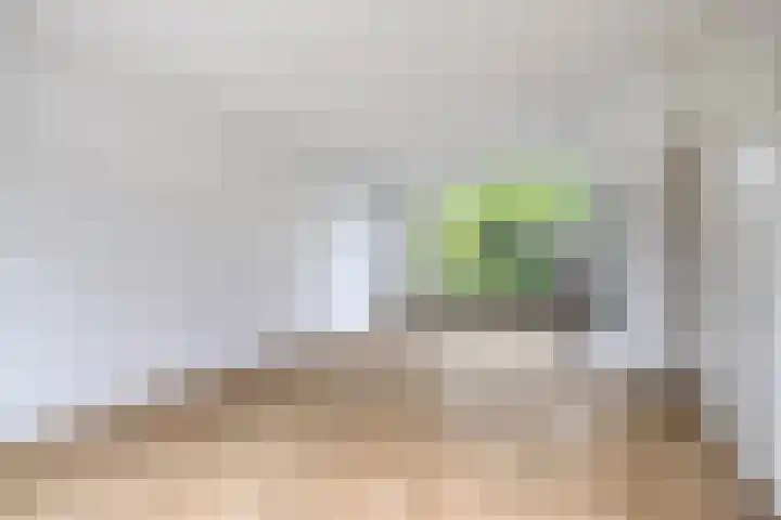 Bontwerkerstraat 19 Breda thumbnail 4