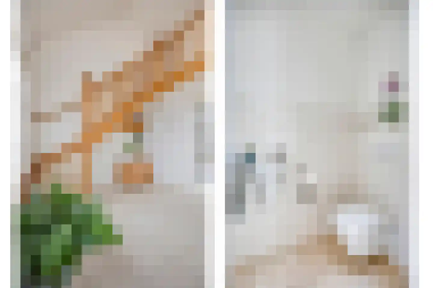 Bonzijweg 17 Wemeldinge thumbnail 11