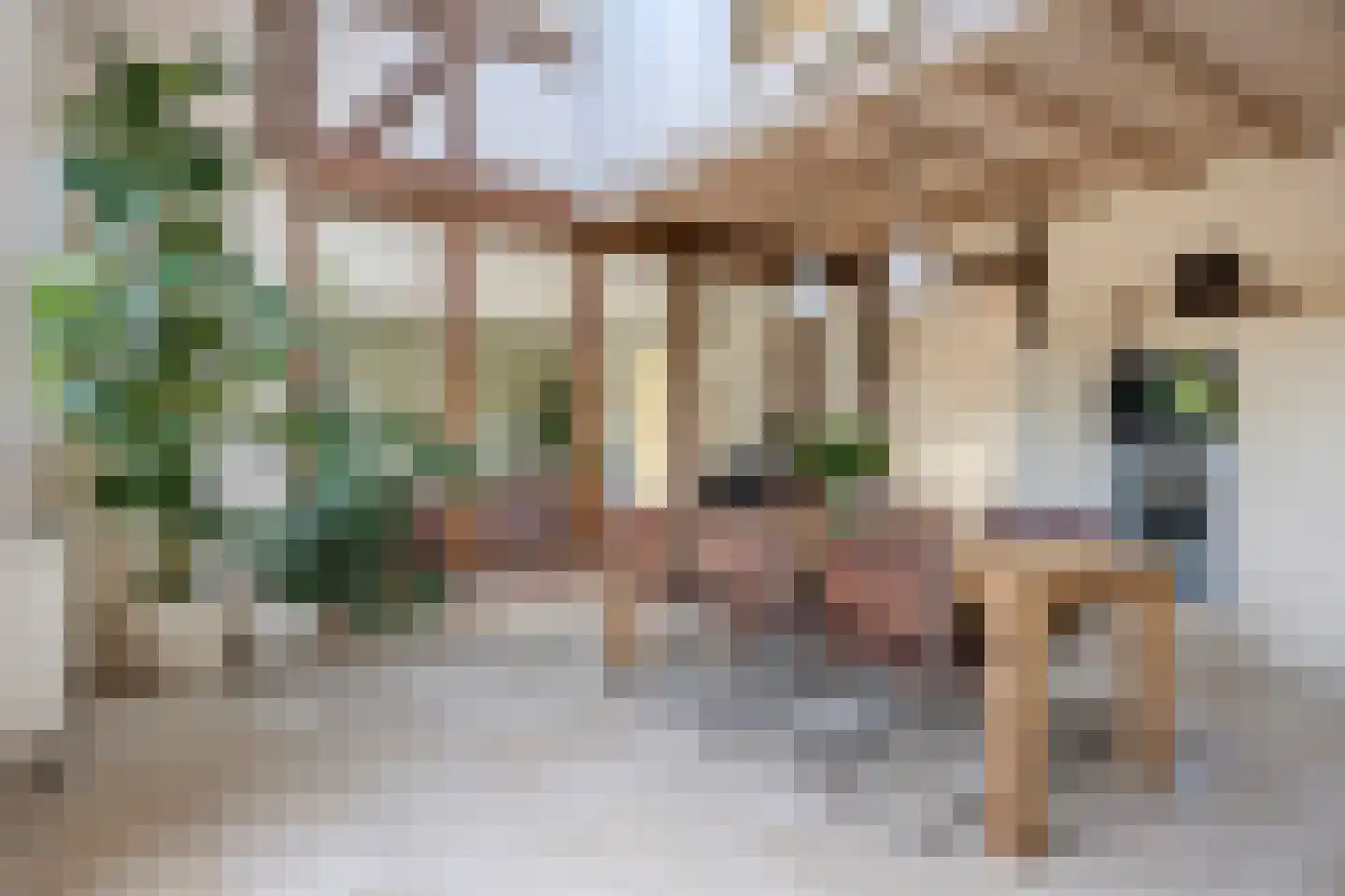 Bonzijweg 17 Wemeldinge thumbnail 18