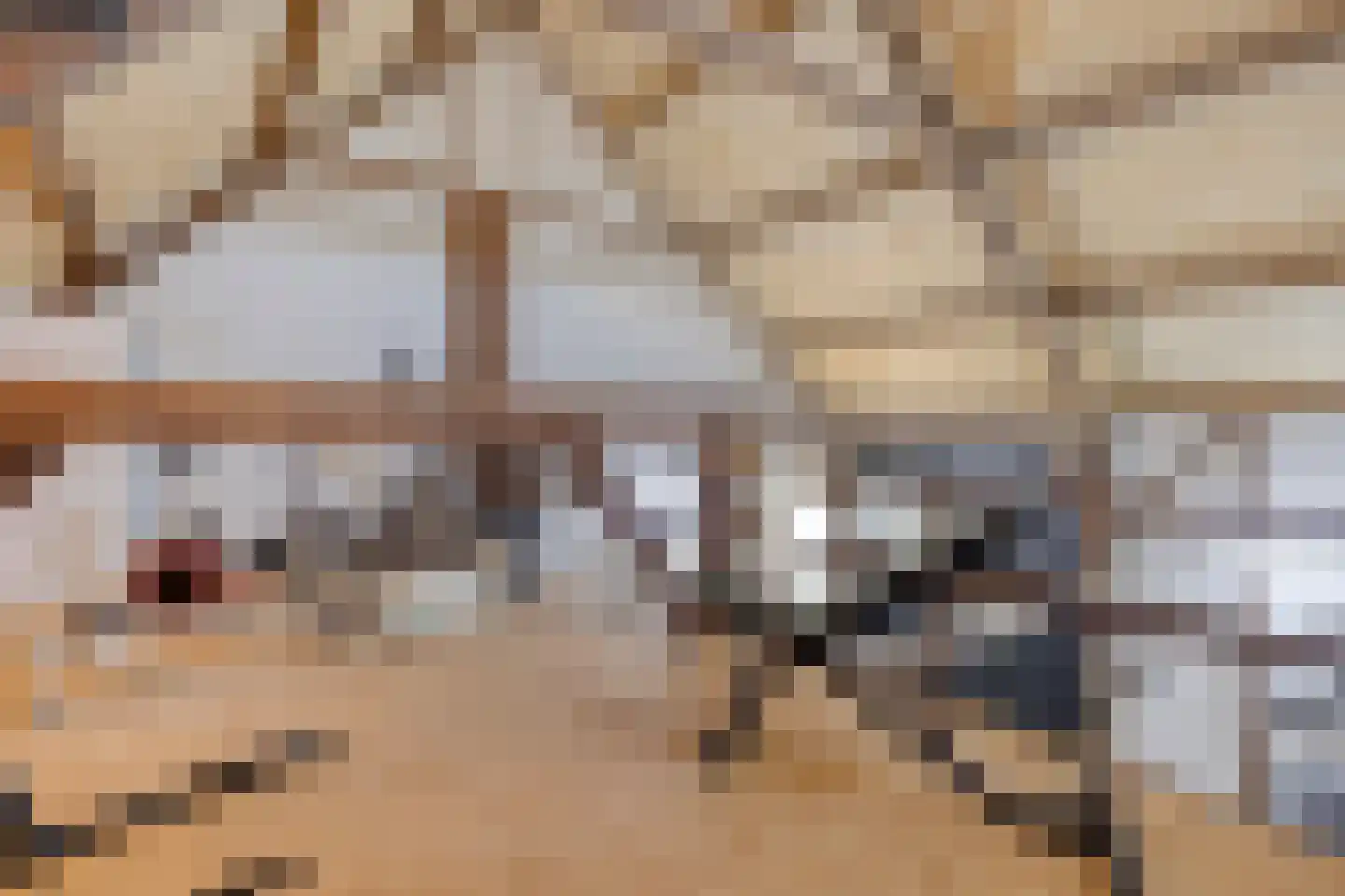Bonzijweg 17 Wemeldinge thumbnail 28