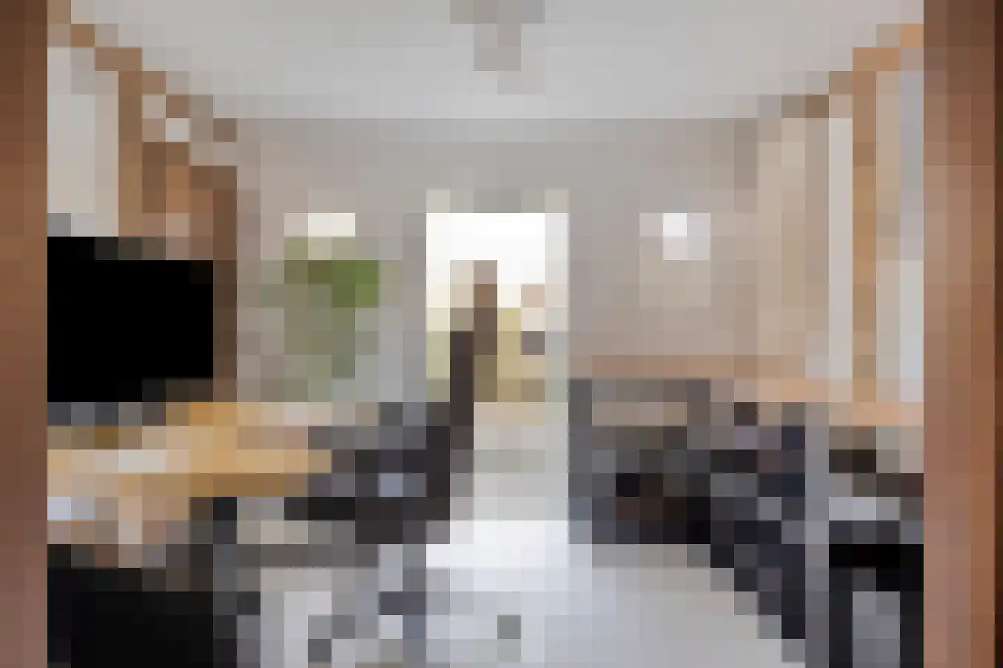 Bonzijweg 17 Wemeldinge thumbnail 30