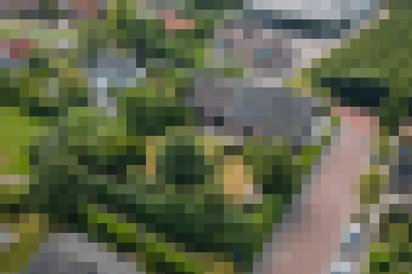 Bonzijweg 17 Wemeldinge thumbnail 52