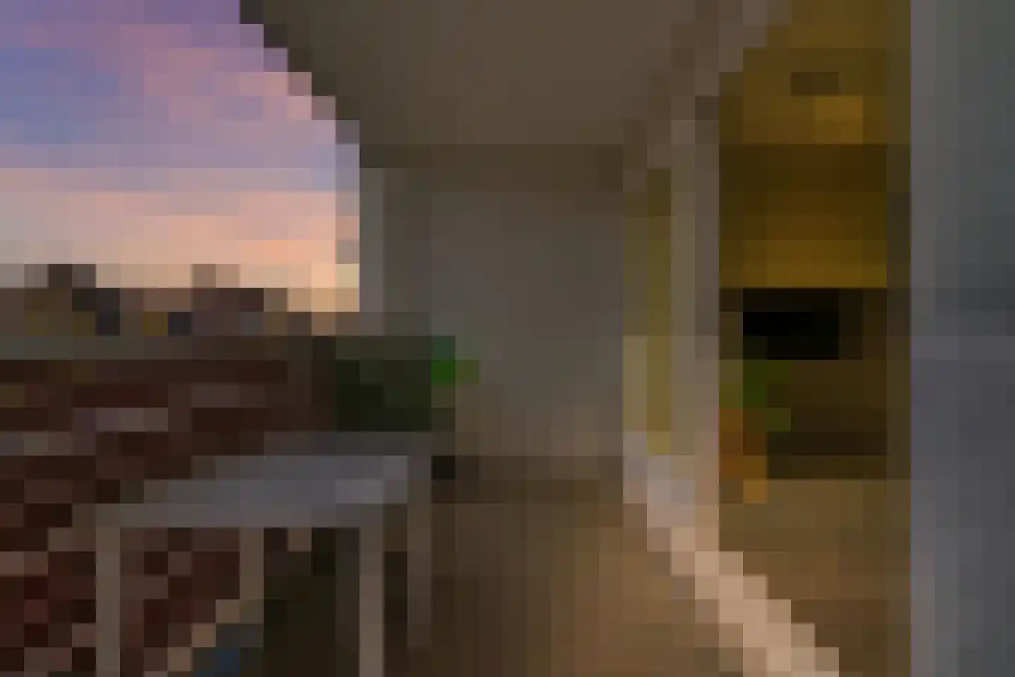 Boodtlaan 1 K De Koog thumbnail 28