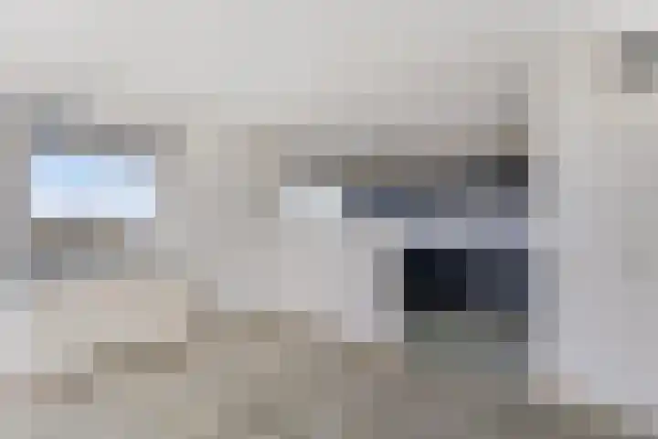 Boog 21 Wormer thumbnail 13