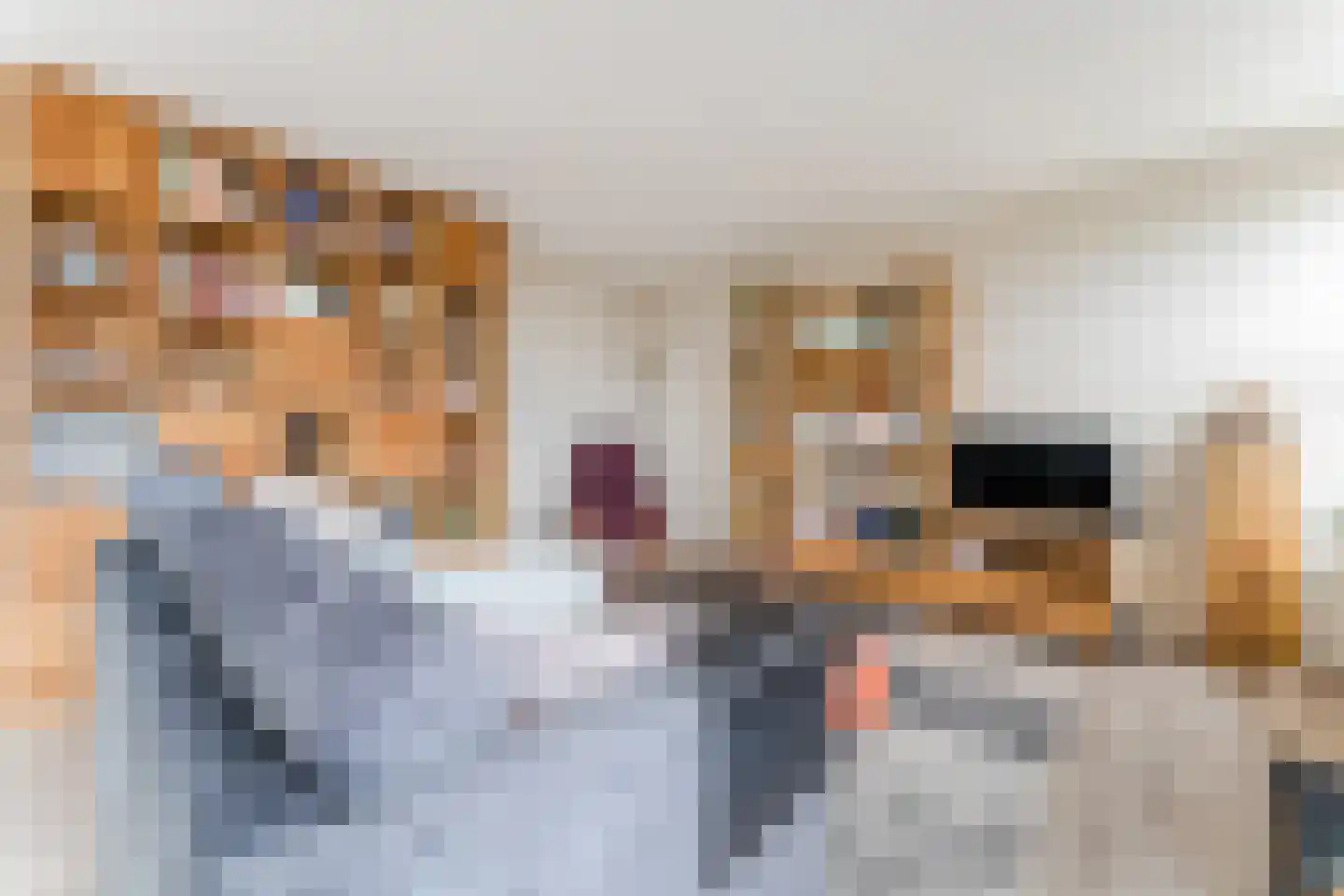Boog 21 Wormer thumbnail 14