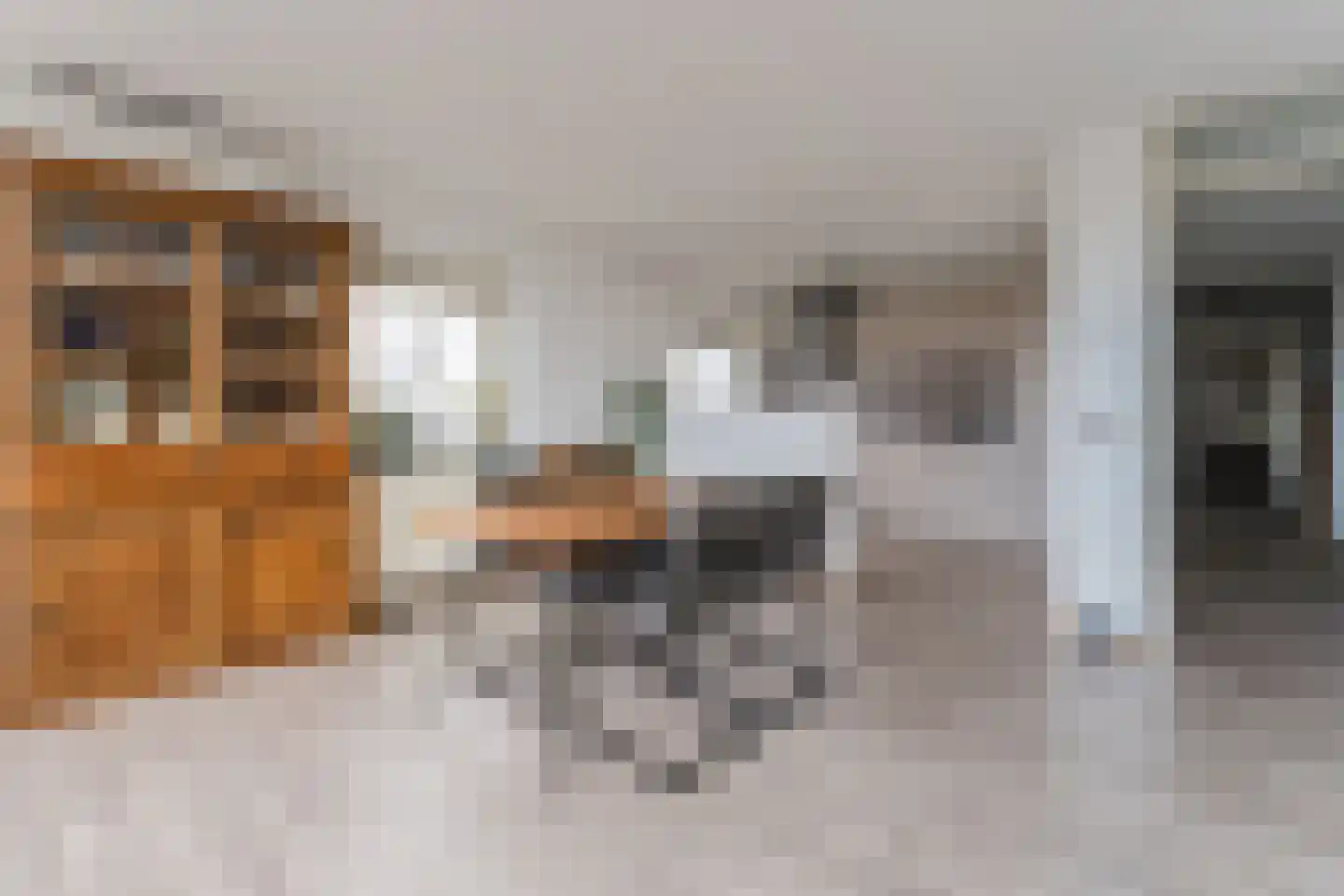 Boog 21 Wormer thumbnail 15