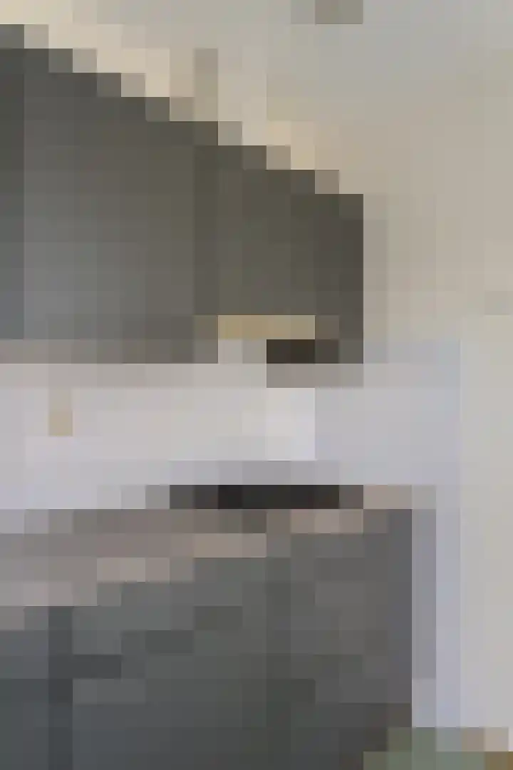 Boog 21 Wormer thumbnail 15