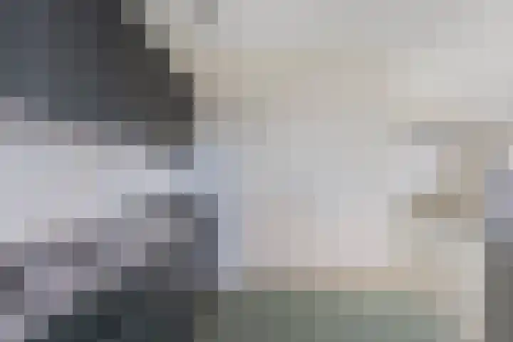 Boog 21 Wormer thumbnail 17