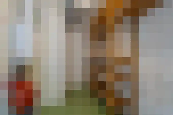 Boog 21 Wormer thumbnail 24