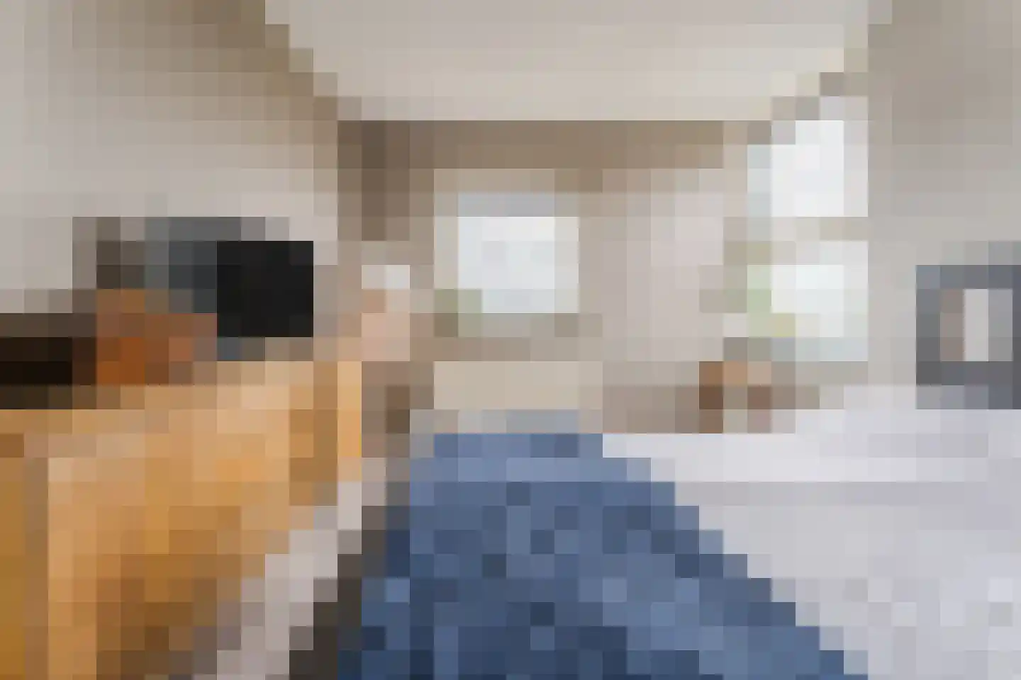 Boog 21 Wormer thumbnail 24