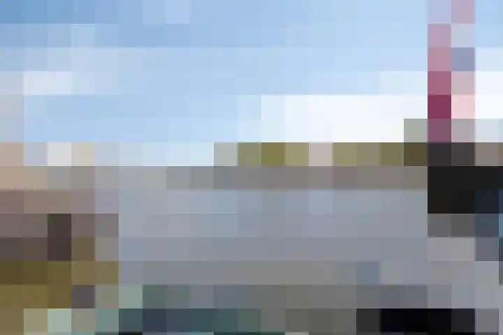 Boog 21 Wormer thumbnail 25