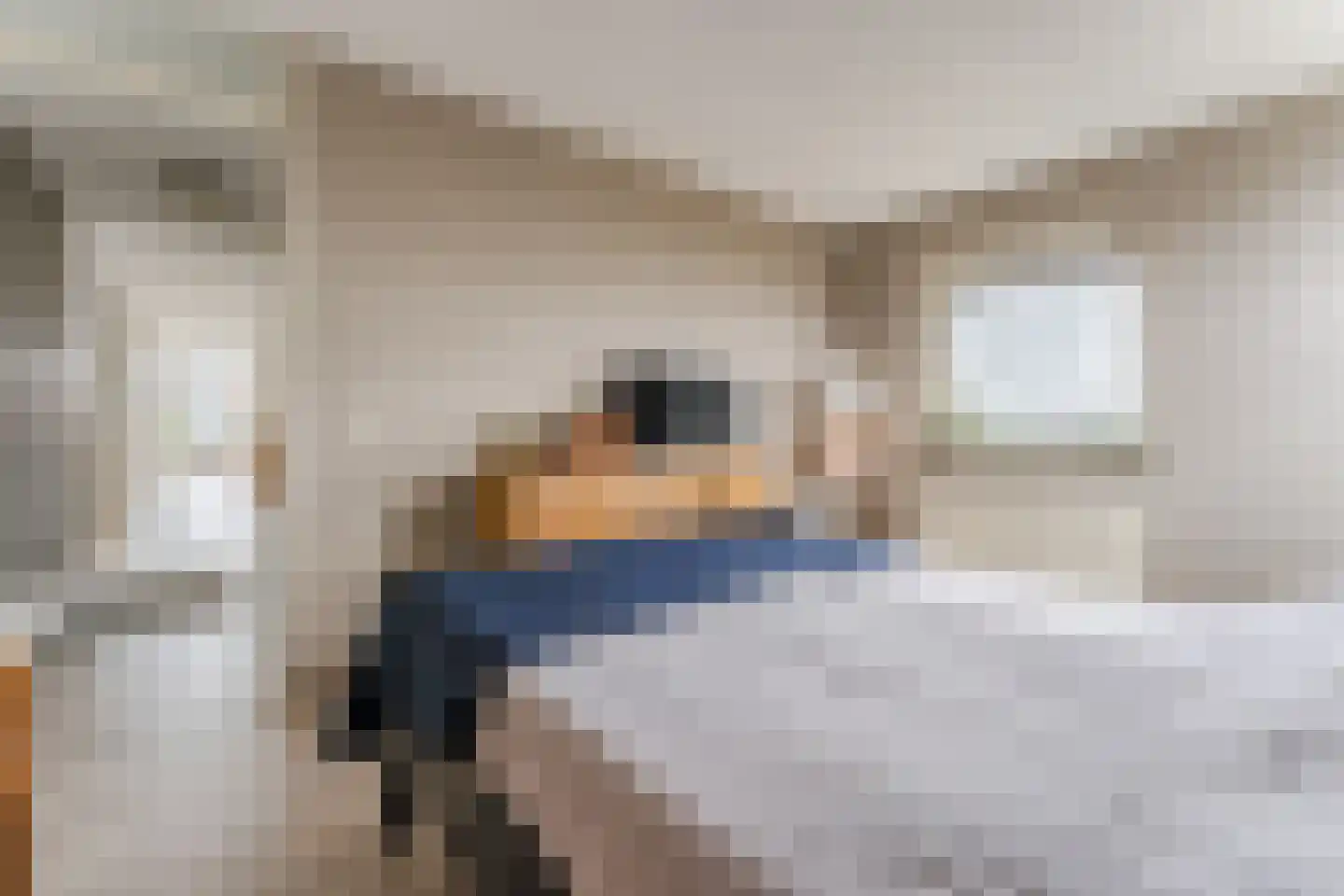 Boog 21 Wormer thumbnail 25