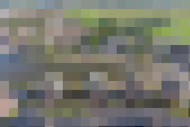 Boog 21 Wormer thumbnail 28