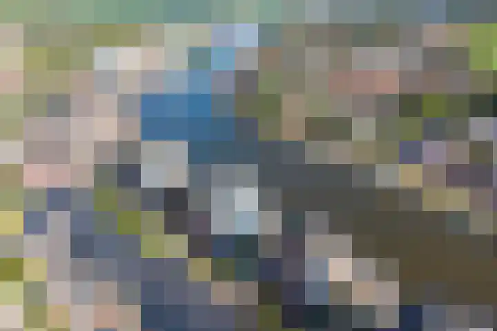 Boog 21 Wormer thumbnail 30