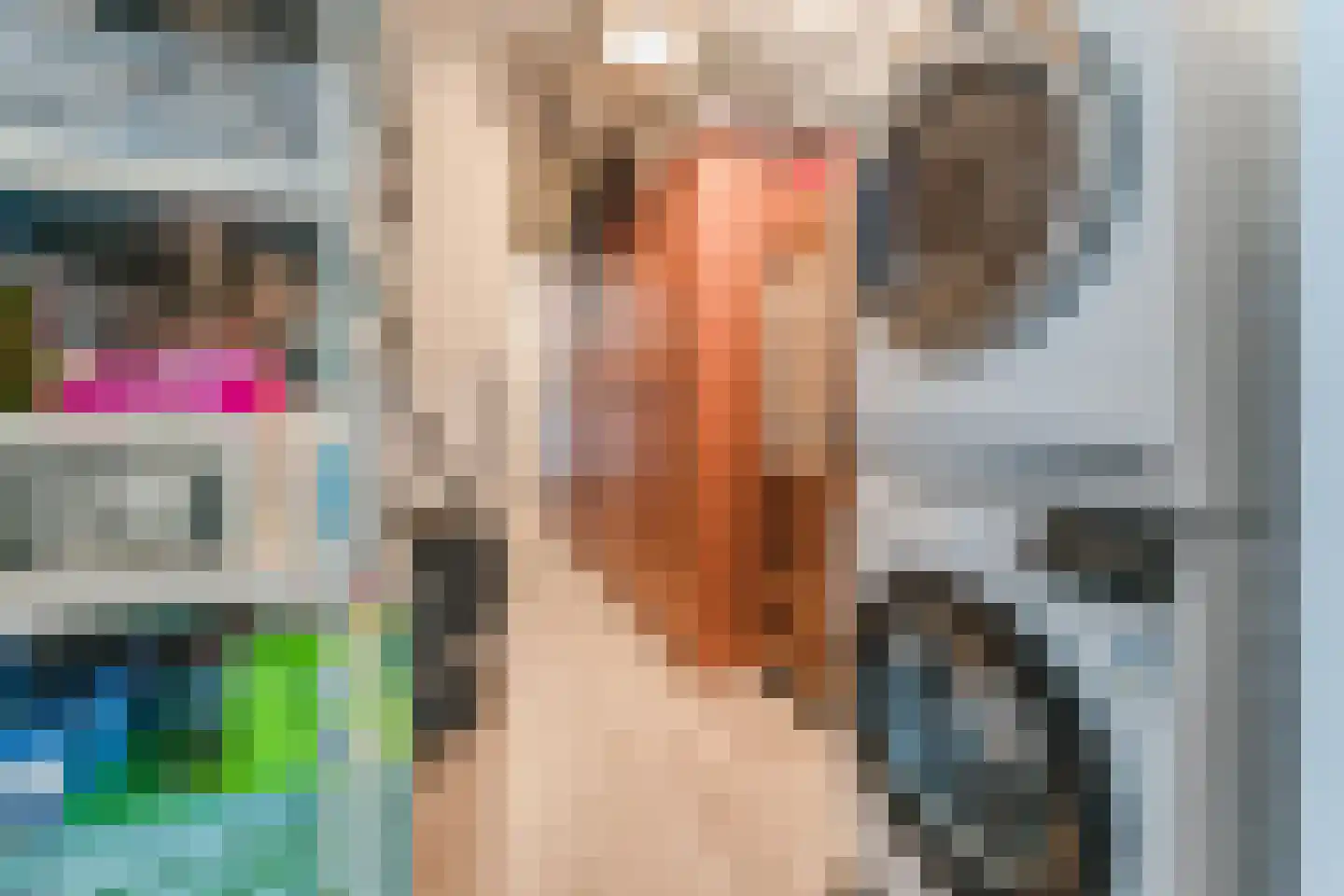 Boog 21 Wormer thumbnail 32