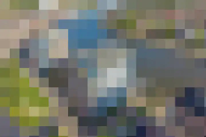 Boog 21 Wormer thumbnail 33