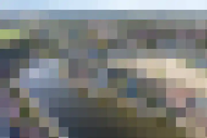 Boog 21 Wormer thumbnail 38