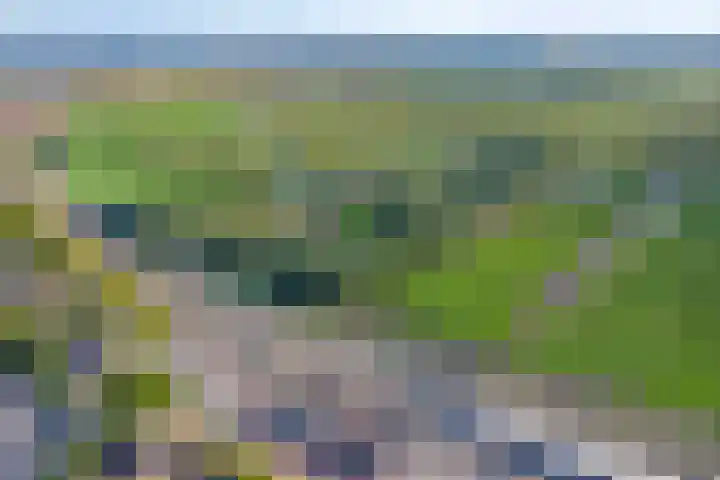 Boog 21 Wormer thumbnail 39