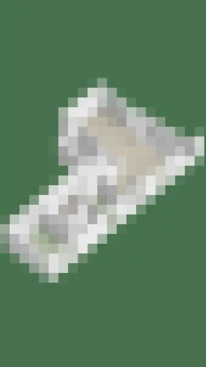 Boog 21 Wormer thumbnail 43