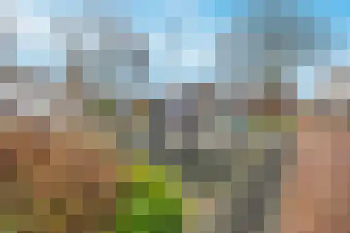 Boog 4 Sliedrecht thumbnail 33