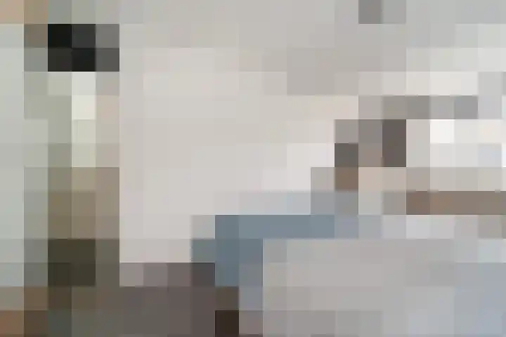Boog 4 Wateringen thumbnail 19