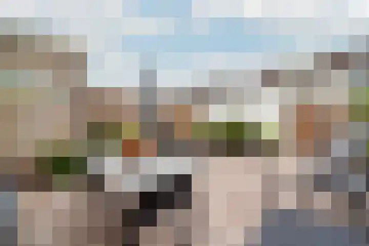 Boog 4 Wateringen thumbnail 30