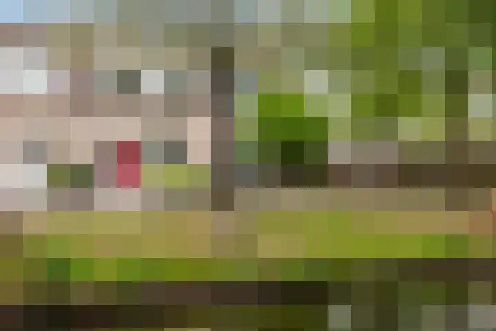 Boog 4 Wateringen thumbnail 31