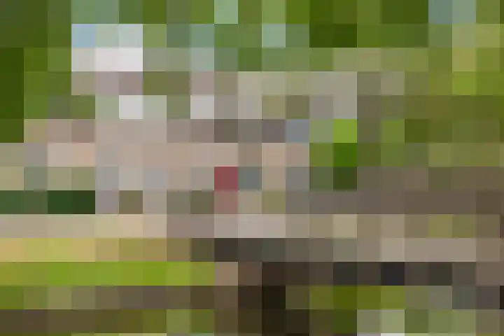 Boog 4 Wateringen thumbnail 32