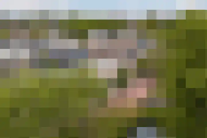 Boog 4 Wateringen thumbnail 35