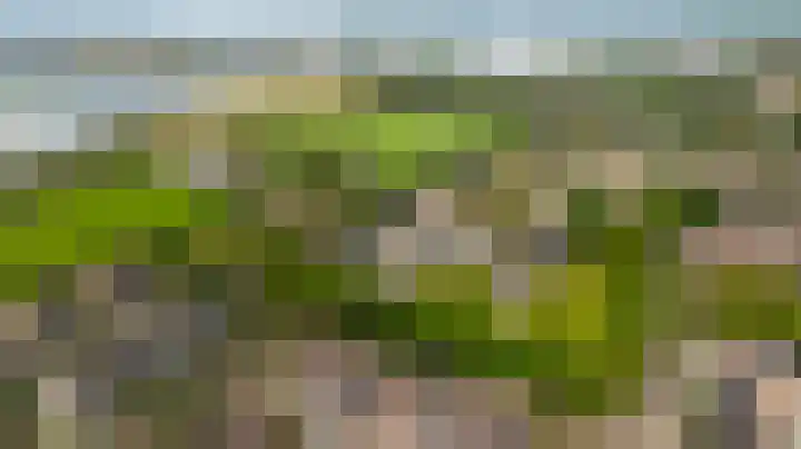 Boog 4 Wateringen thumbnail 36